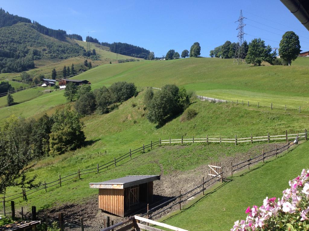 הוילה קפרון Weisssteinalm מראה חיצוני תמונה